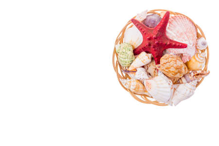 Collection of seashells on wicker plate isolated on whiteの写真素材