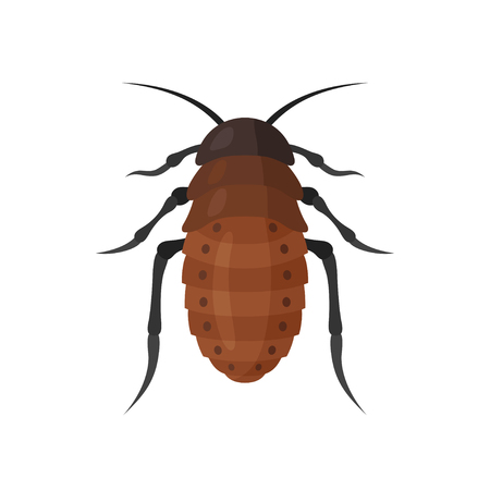 Cockroach vector icon on white background. Illustration of a cartoon big brown cockroach. Insects isolated symbol.のイラスト素材