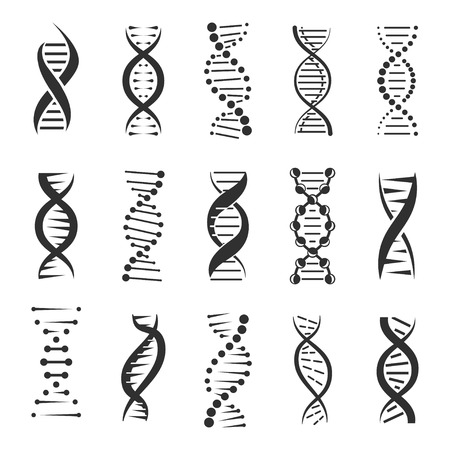 DNA helix, a genetic sign vector icons on a white background. Design elements for modern medicine, biology and science. Dark symbols of double human chain DNA molecule.のイラスト素材