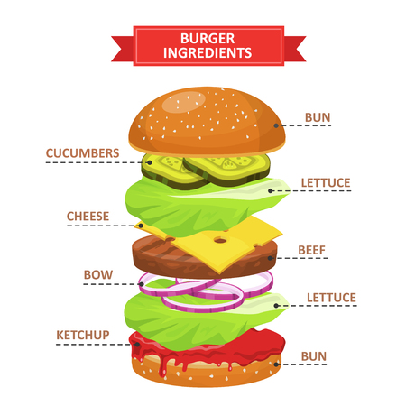 Burger ingredients set illustration.のイラスト素材
