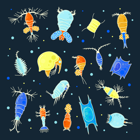 Plankton, collection of bright small water organisms. Plant life of a water, diverse set. Vector illustration on black backgroundのイラスト素材