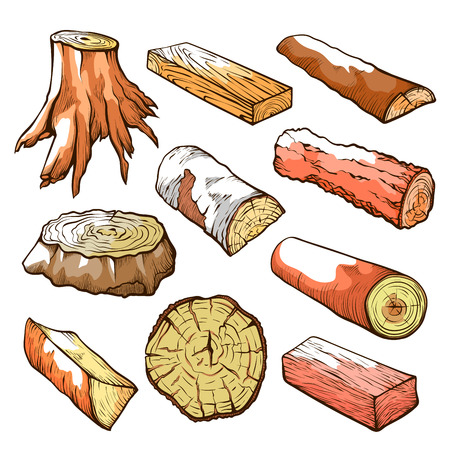 Wood logs and stubs set, natural wooden elementsのイラスト素材
