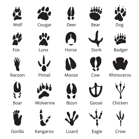 Wild animals traces, black icon set with namesのイラスト素材