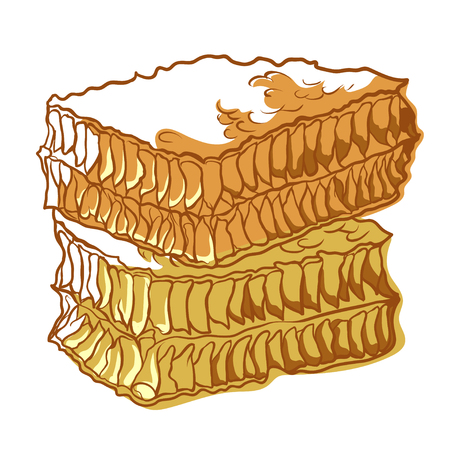 Honeycomb bee icon, sweet healthy natural food. Hexagonal cells of wax, made by bees to store honey and eggs. Vector illustrationのイラスト素材