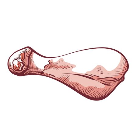 Chicken thigh icon, healthy and fresh nutritionのイラスト素材