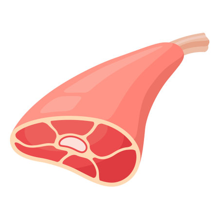 Meat leg icon, tasty uncooked raw mealのイラスト素材