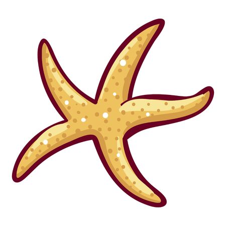 Starfish icon, tropical and summer beach decoration. Marine or aquarium creature. Vector flat style cartoon illustration isolated on white backgroundのイラスト素材