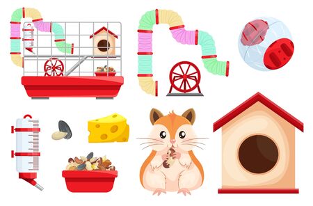 Hamster habitat and accessories. Rodent cage two level with tube, tunnel, exercise wheel.のイラスト素材
