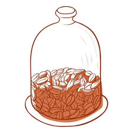 Coffee beans in a close jar, glass containerのイラスト素材