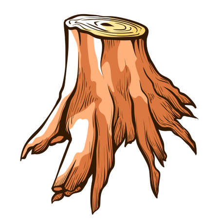 Tree stump sketch. Wood stub. Remaining portion of old trunk with roots. Wooden fuel.のイラスト素材