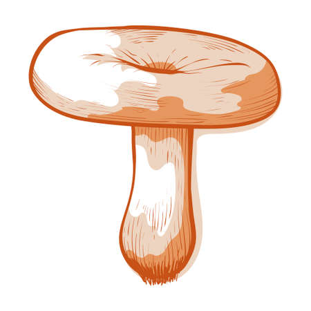 Coral milky cap mushroom icon, Lactarius torminosusのイラスト素材