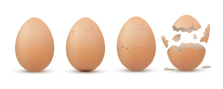Eggshell cracking stages. Egg breaking sequence, steps realistic templates.