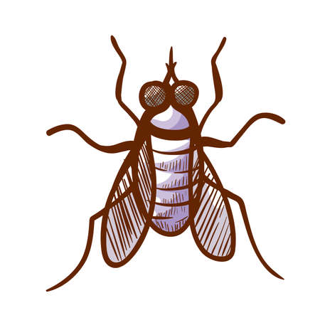 Stable, barn, biting house, dog or power mower fly hand drawn icon. Insect sucking mammals blood pictogram.のイラスト素材