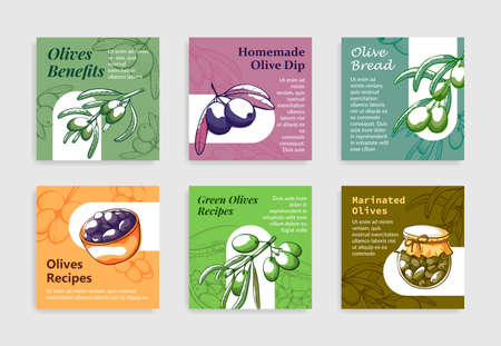 Collection olives label with place for text vector flat illustration. Set of promo emblem templateのイラスト素材