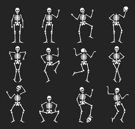 Set of funny halloween skeleton in different poses vector flat illustration. Collection cute creepy characters with skull and bones dancing, jumping, squatting and playing. Scary creature with jointsのイラスト素材