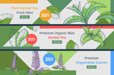 Fresh mint taste tea engraved horizontal background set vector illustration landing page online shopのイラスト素材