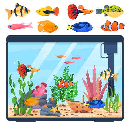 Beautiful decorative home aquarium with different fish types set vector flat illustrationのイラスト素材