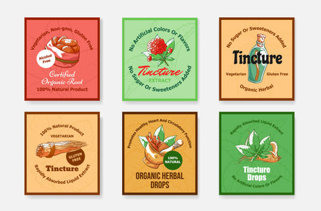 Organic herbal tincture drops poster collection vector engraved illustration. Squared placardのイラスト素材