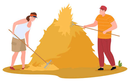 Farmer couple hay harvest with rakes and pitchforks vector flat illustrationのイラスト素材