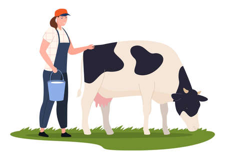 Agricultural woman cow milking with metallic basket on green grass vector flat illustrationのイラスト素材