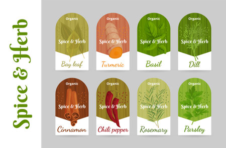 Spice and herb organic flavoring paper tag with names for gourmet food cooking set vectorのイラスト素材