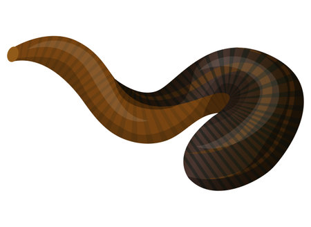 Leech dark brown striped bloodsucking worm alternative medical aid vector flat illustrationのイラスト素材