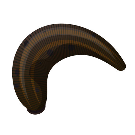Leech brown bloodsucking worm nautical animal for alternative medical theraphy vector flatのイラスト素材