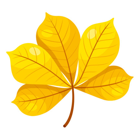 Chestnut autumn yellow leaf seasonal natural foliage vector flat illustrationのイラスト素材