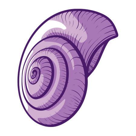 Purple clam shell ocean exotic underwater seashell conch aquatic mollusk engraved vectorのイラスト素材