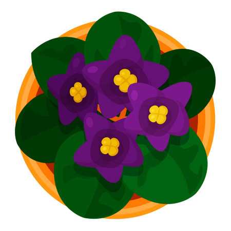 Home plant with purple flower and green leaves in pot top view vector flat illustrationのイラスト素材