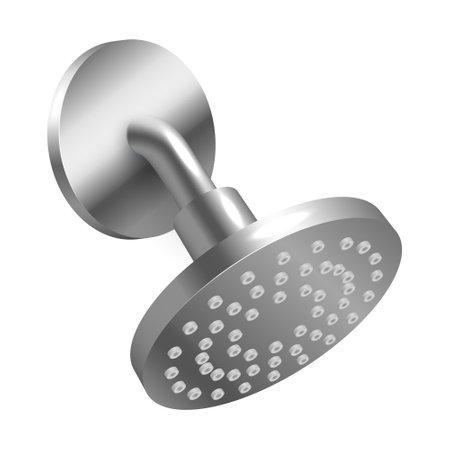 Silver Showerhead With Round Spray Face and Wall Mountのイラスト素材
