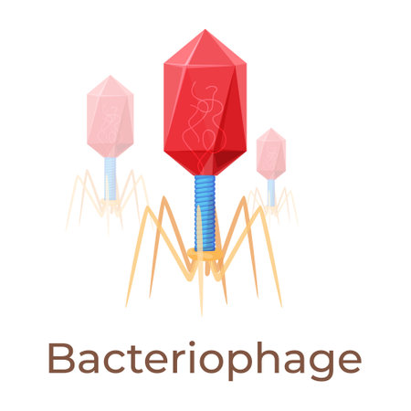 Detailed illustration of a bacteriophage virus, showcasing its structure and function in a vivid and educational mannerのイラスト素材
