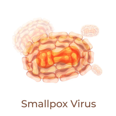 Illustration of human smallpox virus showing distinct shape and structure under microscopic viewのイラスト素材
