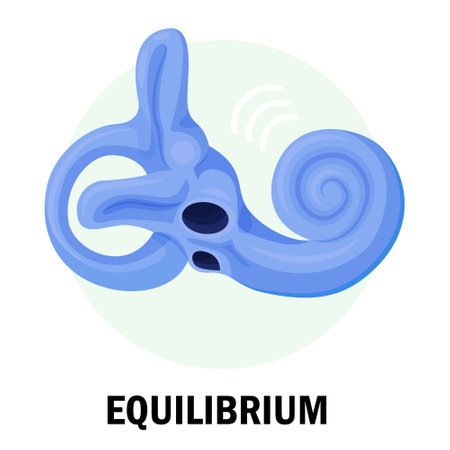 An illustration of a stylized human organ responsible for balance, illustrating how equilibrium and stability are maintained in the body.のイラスト素材