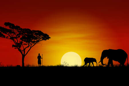 African Sunset with elephants and a Massai Warriorの写真素材