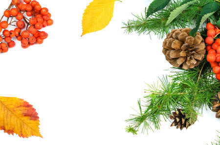 Pine Cones, Red Berries, Spruce Branches, Autumn Leaves. Christmas and New Year's Decor. Isolated With A Shadow. Close-up. Holiday Composition White Background Copy Spaceの写真素材