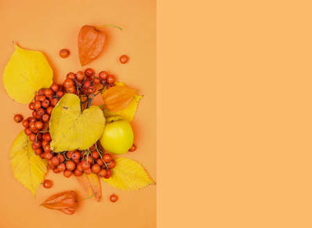 Autumn Yellow Leaves, Red Rowanberries, Orange Bright Colors, Dry Flowers Physalis, Flat Lay Top View Copy Space Pastel Beige Background For Textの写真素材