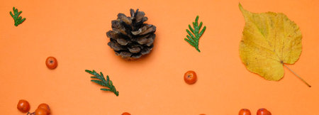 Autumn Yellow Leaves, Red Rowanberries, Orange Bright Colors, Spruce Cone, Flat Lay Top View Copy...