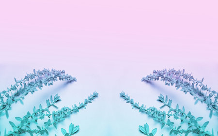 Leaves On The Pastel Neon Gradient Pink And Blue Background Top View Turquoise Trend Colors Flat Lay...