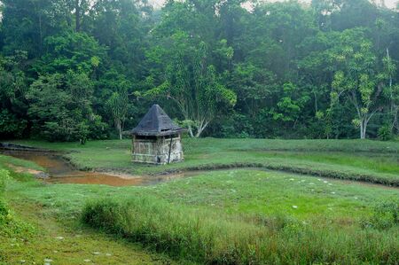 An Old Hut In The Forestの写真素材