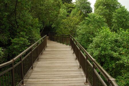 A Wooden Bridge In The Parkの写真素材