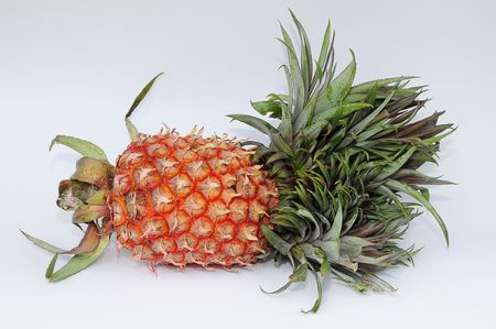 Pineappleの写真素材