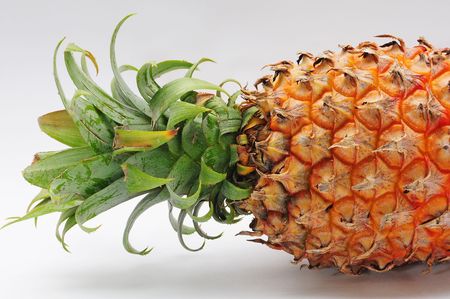 Pineappleの写真素材