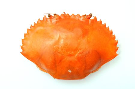 Cooked Shell Of A Crabの写真素材