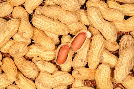 Background Of Groundnutsの写真素材