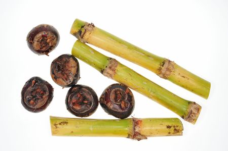 Sugarcane And Water Chestnutsの写真素材