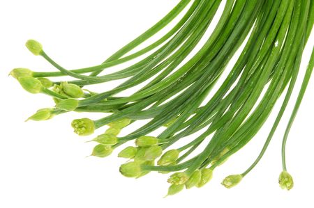 Chinese Leek Flower Vegetable On White Backgroundの写真素材