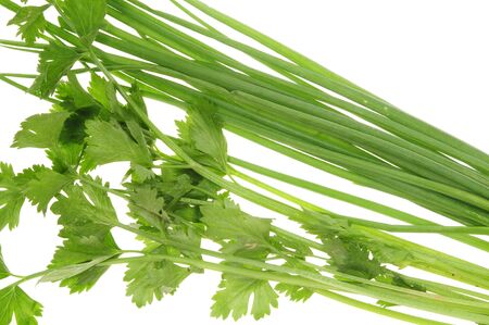 Some Chinese Celery And Spring Onionの写真素材