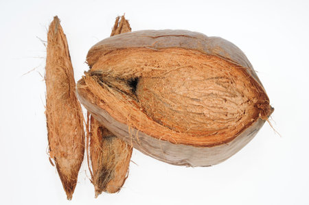 Husked Coconut