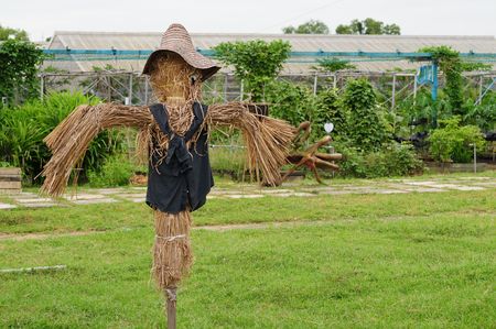 A Lone Scarecrow In The Fieldの写真素材